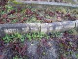 image of grave number 609482